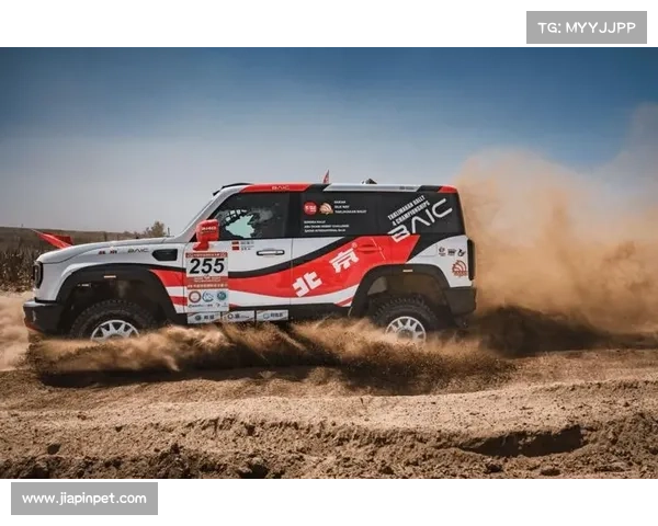 8月4 北京 赛事北京赛事网