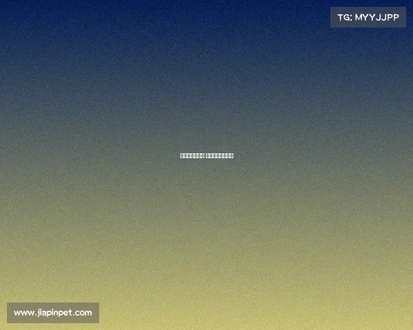 全明星赛事分为 全明星赛有哪些人