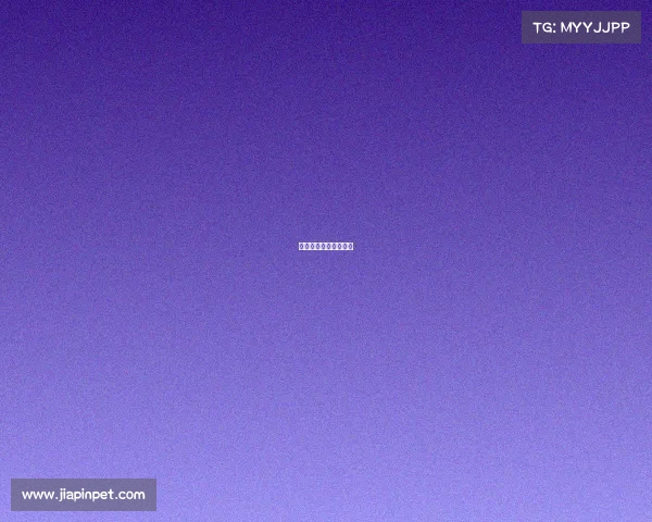 国家级散打赛事有哪些