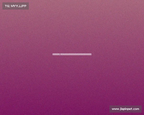 江苏跑步赛事;二〇二四江苏跑步嘉年华暨全民健康挑战赛于南京盛大开幕