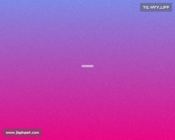 武林风泰山的比赛