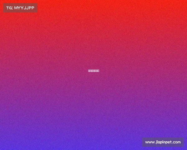 环上海骑行线路