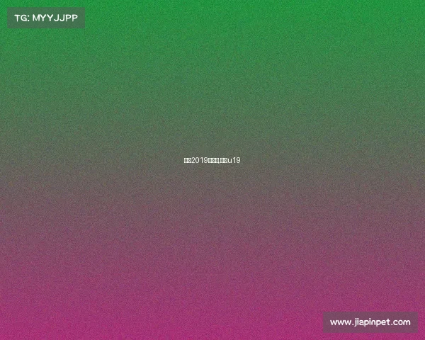 国安2019赛事表,国安u19