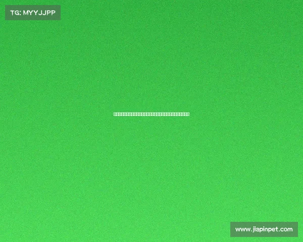 恒大亚冠赛事奖金多少—恒大亚冠赛事奖金分配方案引广泛关注热议 恒大亚冠赛事奖金多少—恒大亚冠赛事奖金分配方案引广泛关注热议