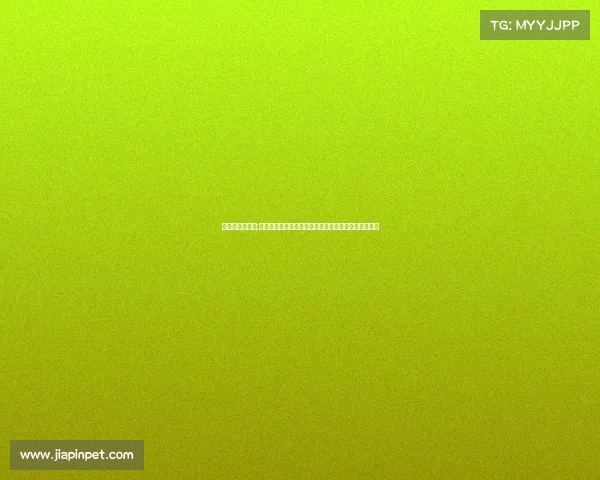 梯队到底怎么了;全国梯队联赛体系推动青少年竞技人才培养与体育发展 梯队到底怎么了;全国梯队联赛体系推动青少年竞技人才培养与体育发展