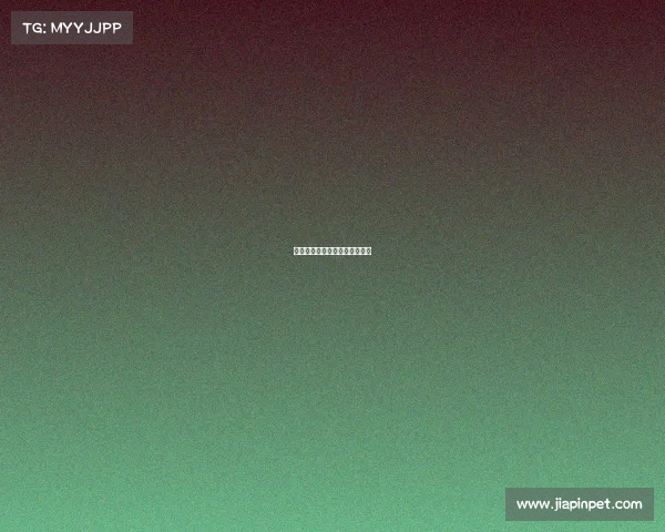 德国足球甲级联赛年度激情盛况 德国足球甲级联赛年度激情盛况