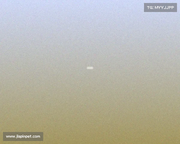 欧冠比赛 欧冠比赛