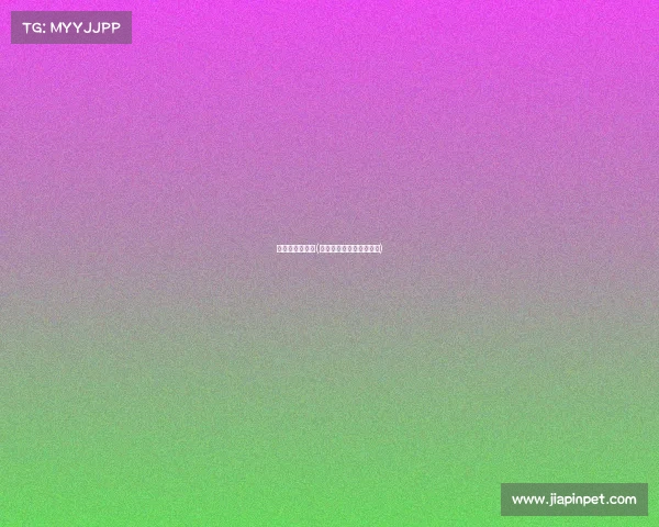 篮球赛事知多少(篮球赛事流程都包括哪些)